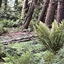 Photo nine