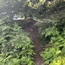 Photo seven