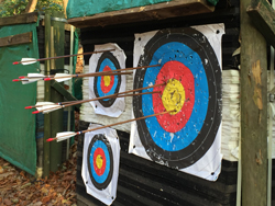 Arrows in an archery target