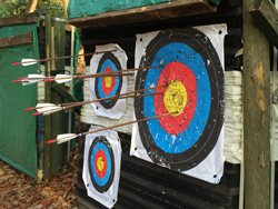 Arrows in an archery target